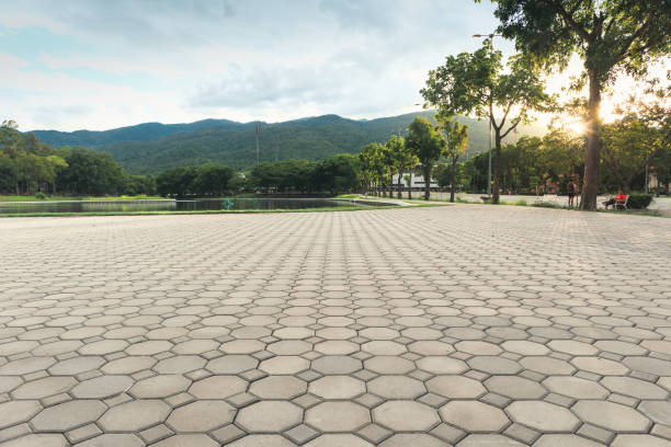 Best Residential Driveway Paver Services  in Dexter, NM